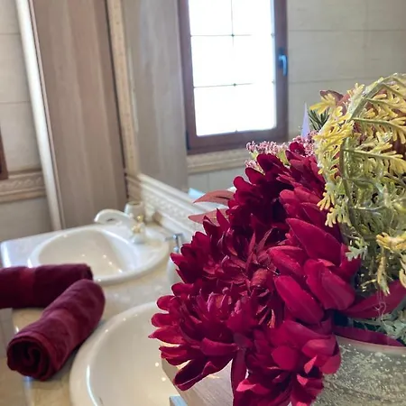 Ingrid. Piscina Exterior. Las Playas